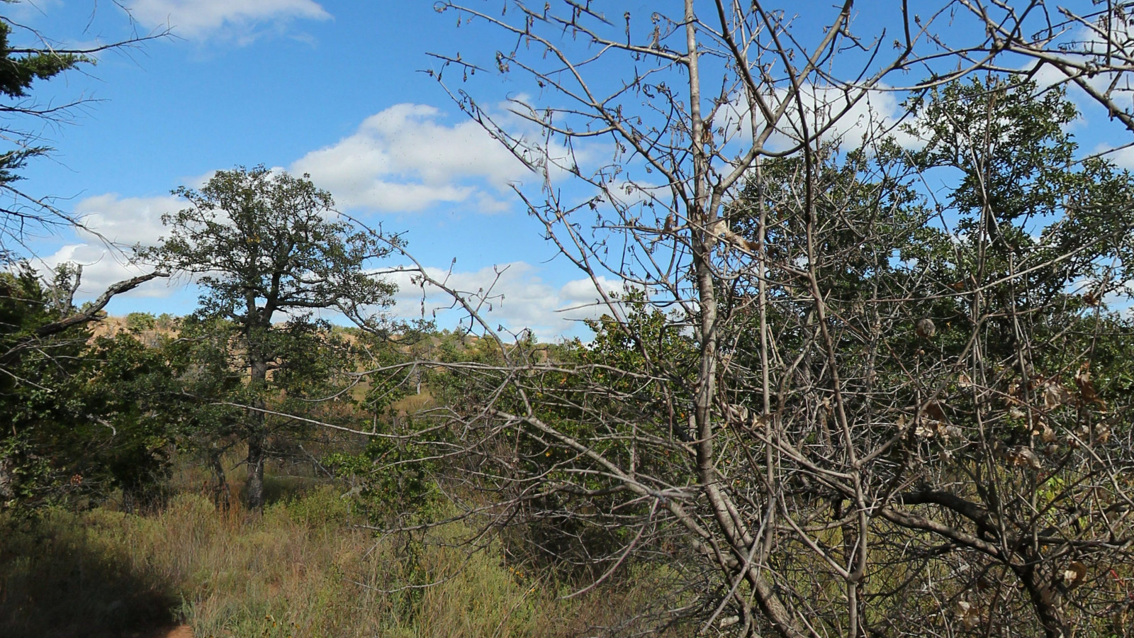 Recorded view from Oklahoma Heritage Sites — Jed Johnson Trail