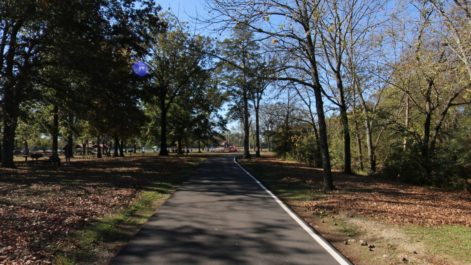 Recorded view from Don Fox Park — Don Fox Park