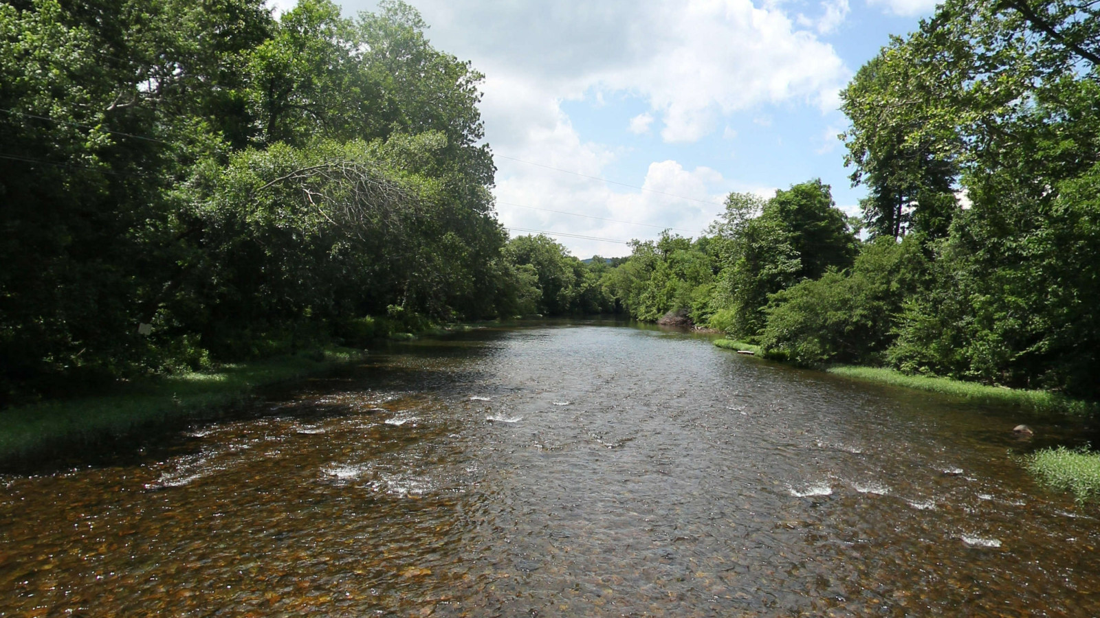Recorded view from Cowpasture River — Cowpasture River