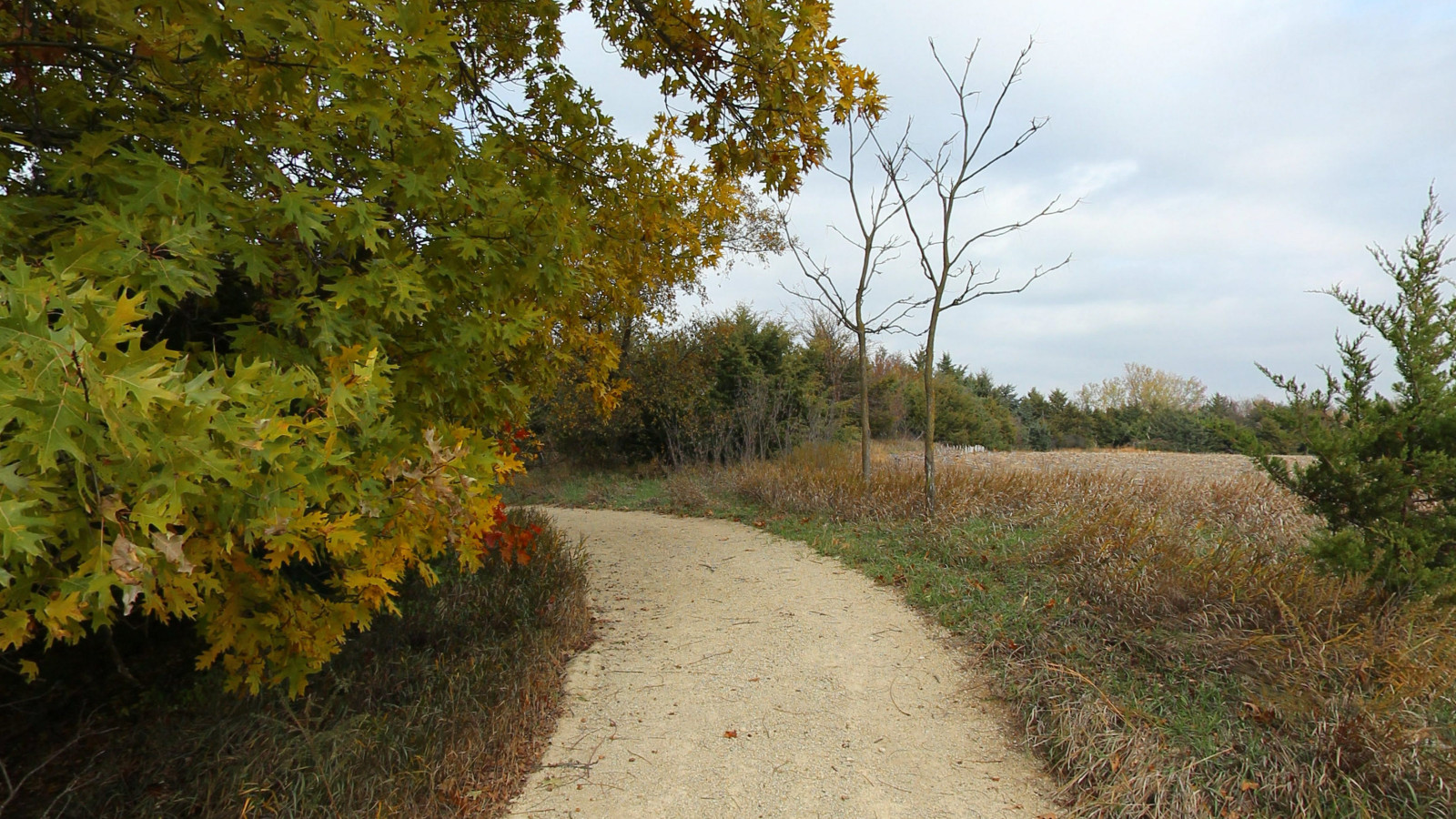 Recorded view from Milford State Park — Dogwood Trail
