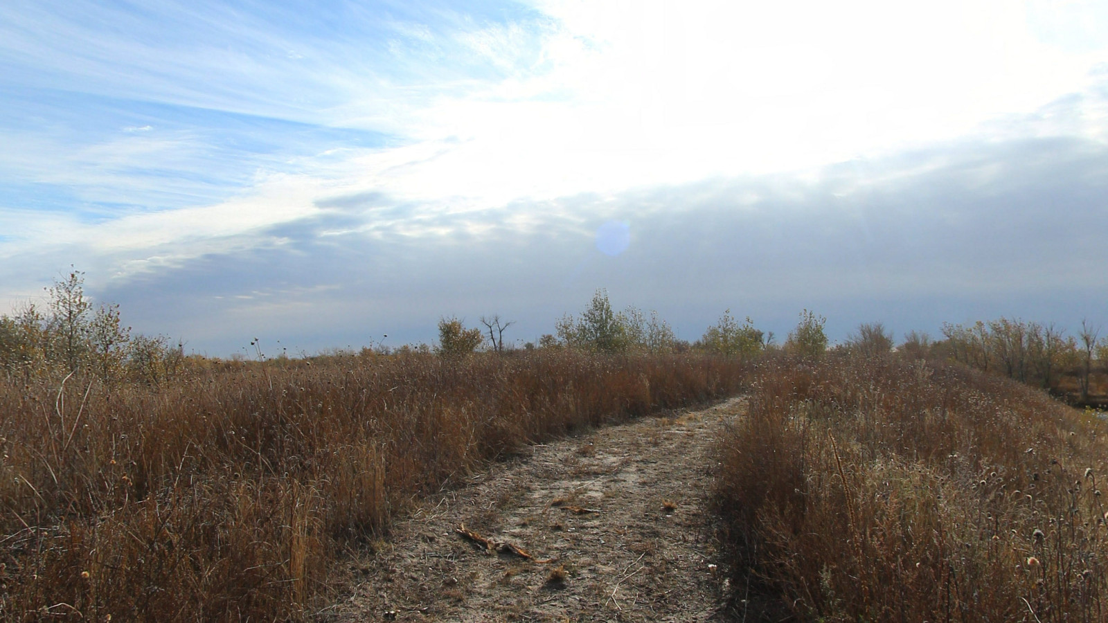 Recorded view from Cimarron National Grassland — Pond Access