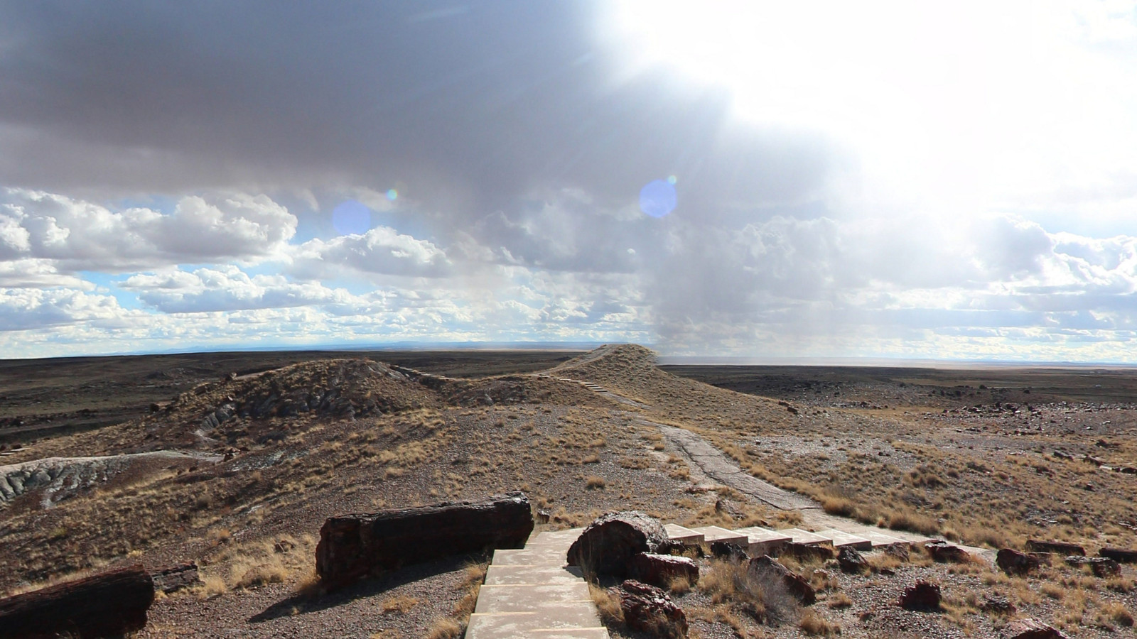 Recorded view from Petrified Forest National Park — Giant Logs Loop