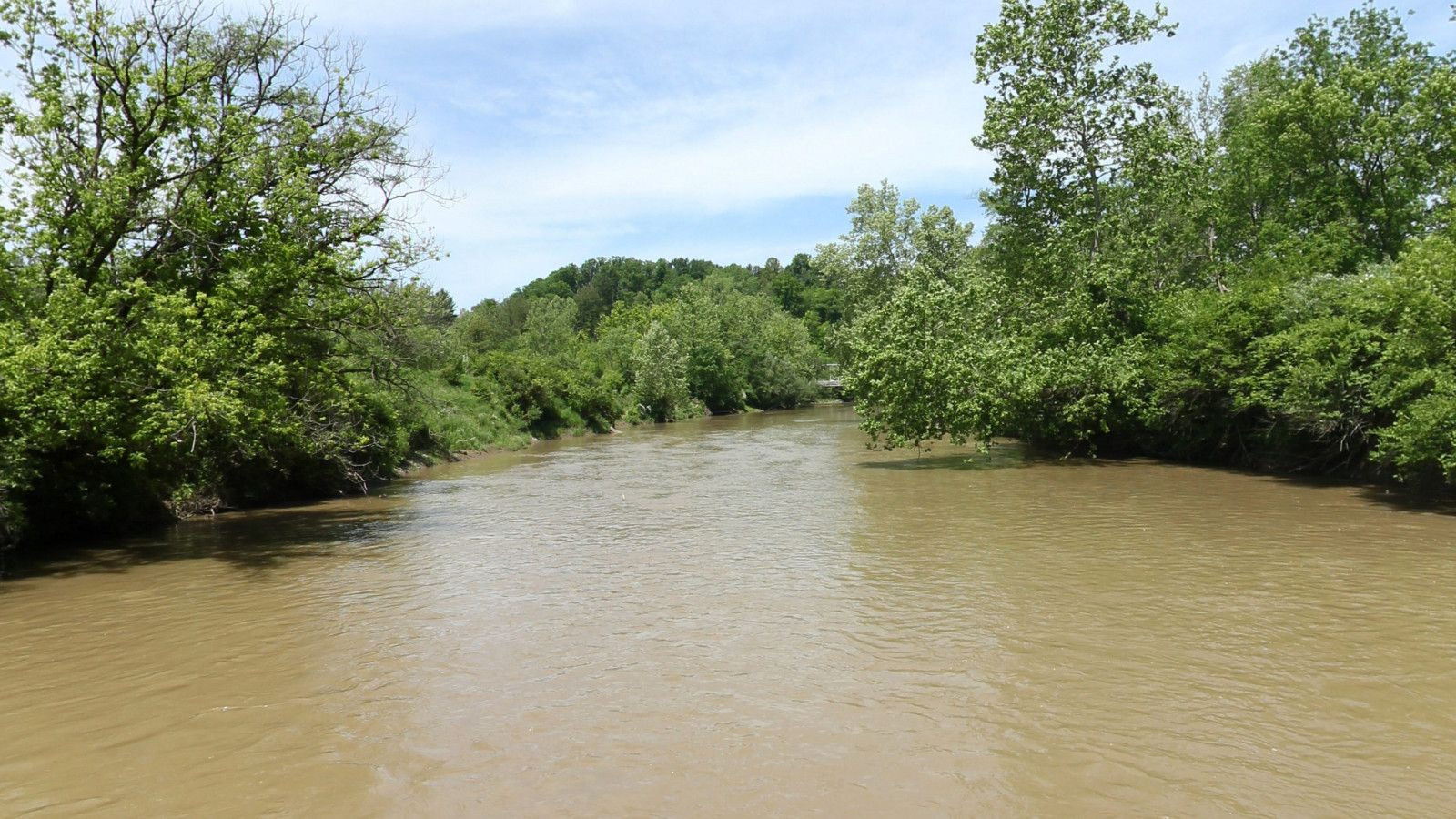 Recorded view from OH outdoor imagery — COL-3697 — Cuyahoga River Mainstem Southwest (foliage)