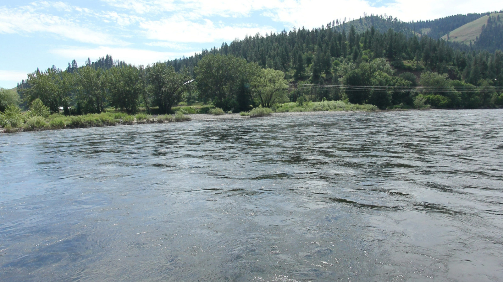 Recorded view from Idaho selections — Three Rivers to Kamiah