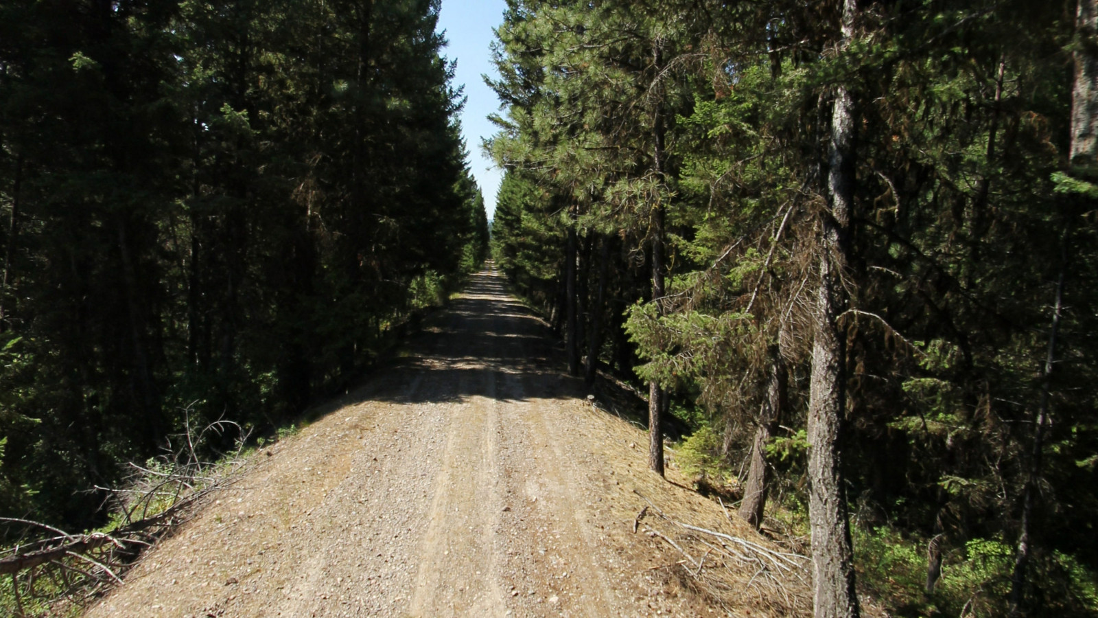 Recorded view from Road to the Buffalo Trail — Belmont to Johnsrud Park
