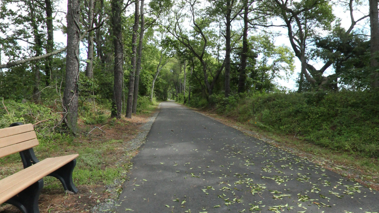 Recorded view from Eastern Shore National Wildlife Refuge — ESWR Bike Trail