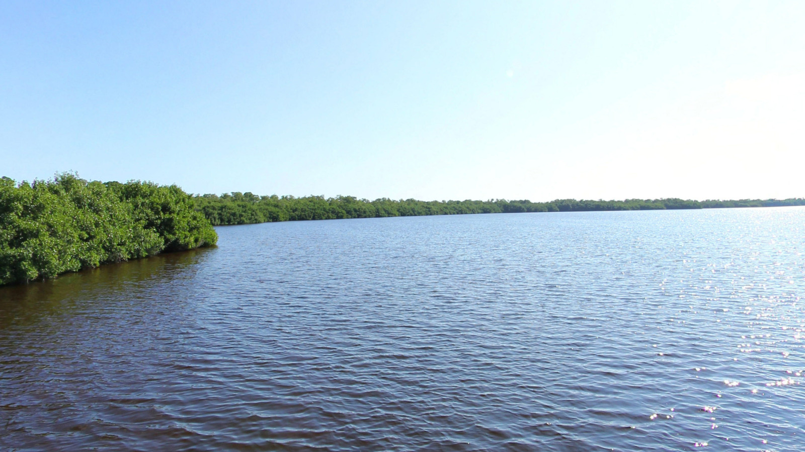 Recorded view from Everglades National Park — Coot Bay 2