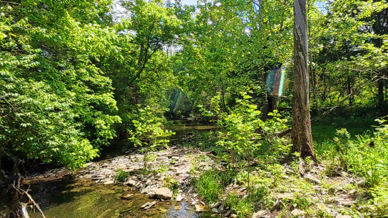 Recorded view from City of Lebanon TN — Spence Creek