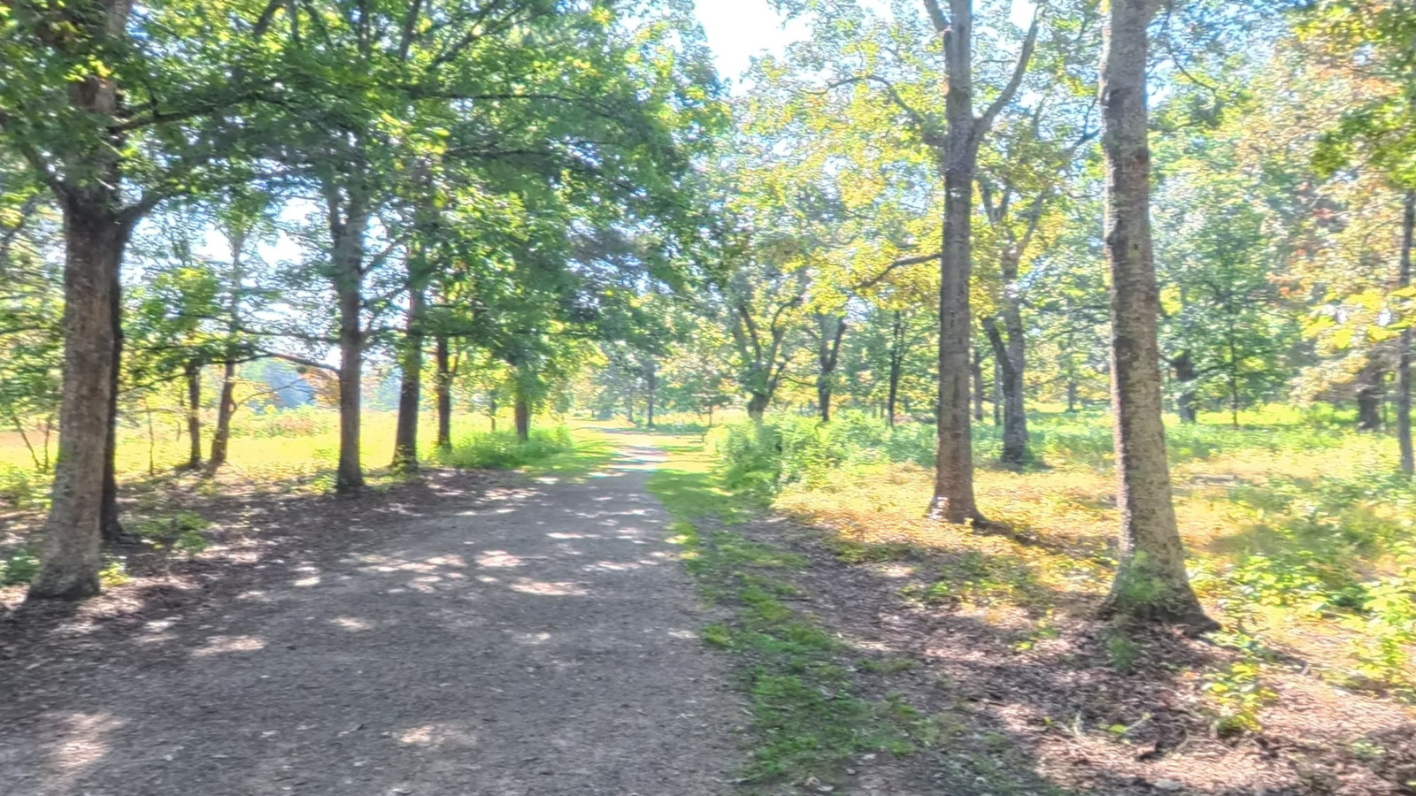 Recorded view from South Carolina selections — Cowpens Battlefield Trail · Chesnee, SC