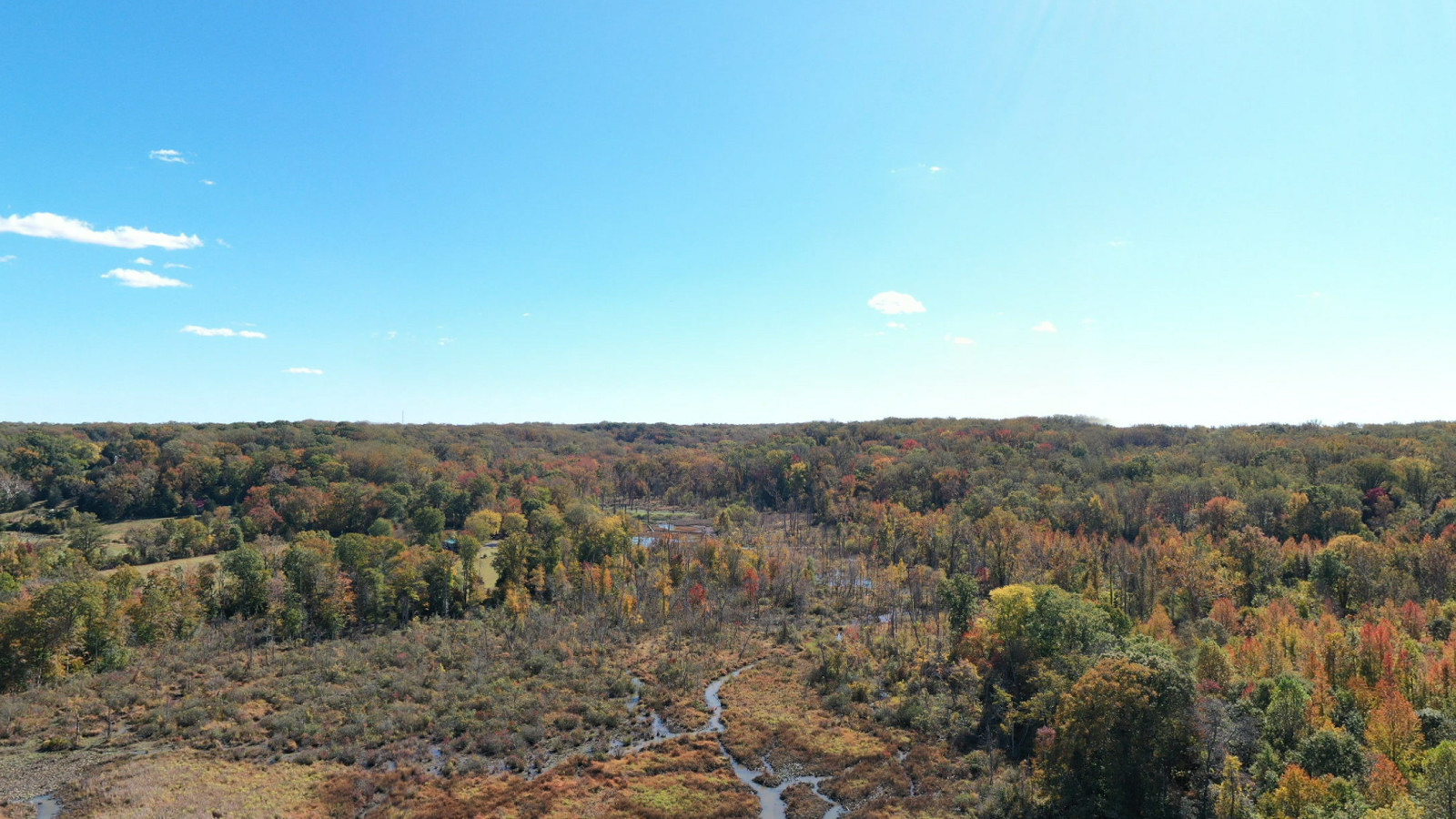 Recorded view from Wetlands and marshes — Accokeek Creek