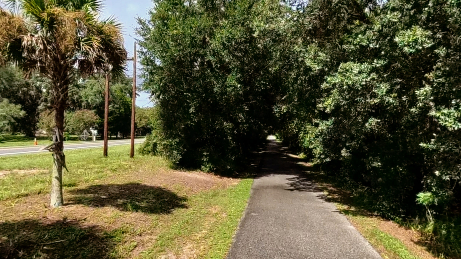 Recorded view from Putnam County Trails — Palatka-to-Lake Butler State Trail