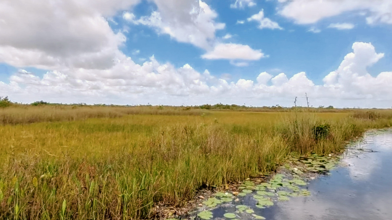 Recorded view from Arthur R. Marshall Loxahatchee National Wildlife Refuge — Everglades Canoe Trail
