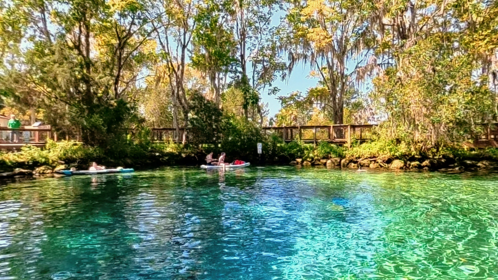 Recorded view from Crystal River — Crystal River
