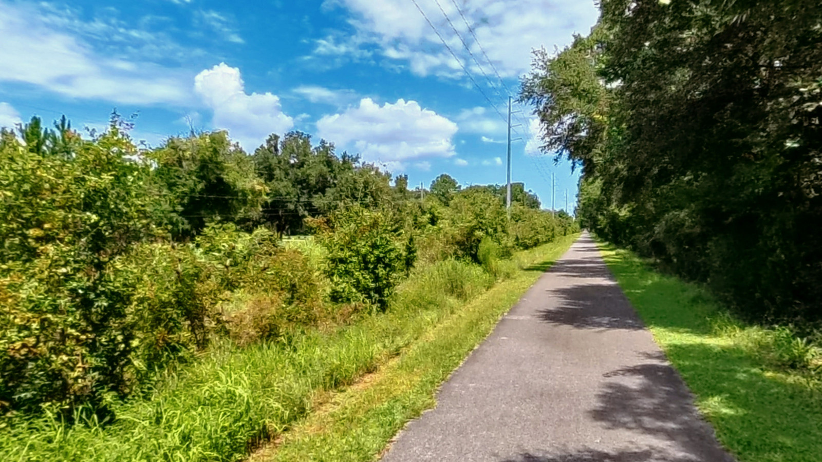 Recorded view from Nature Coast State Trail — Nature Coast State Trail