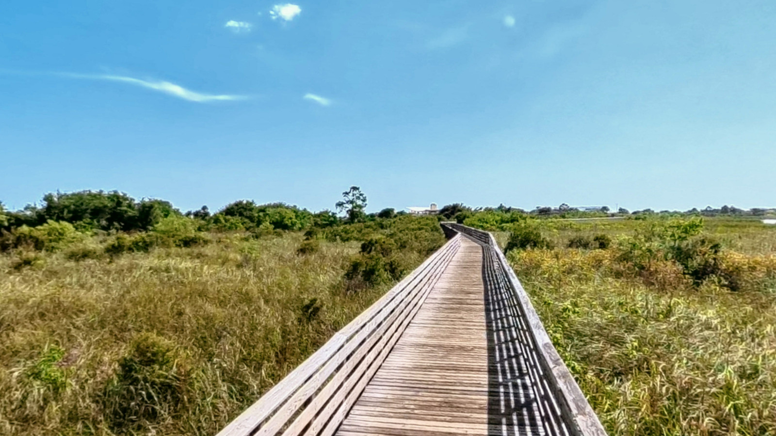 Recorded view from Alabama selections — Mouse Bypass Trail