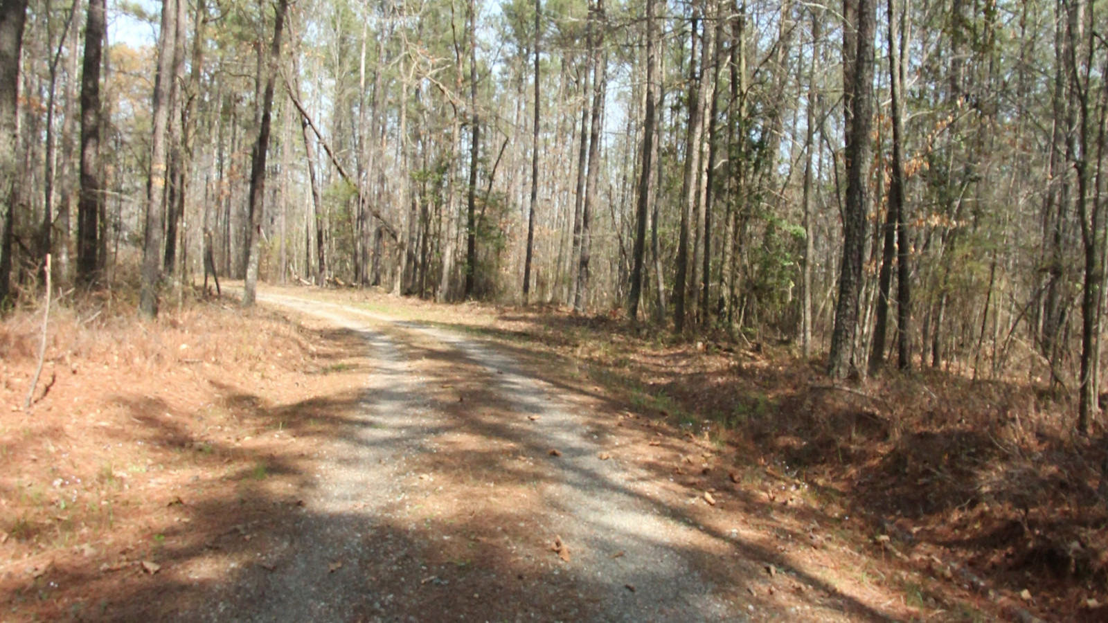 Recorded view from Pocahontas State Park — Fendley Station