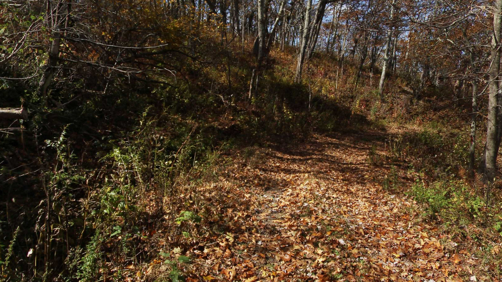 Recorded view from Warm Springs Mountain — Bear Loop Trail