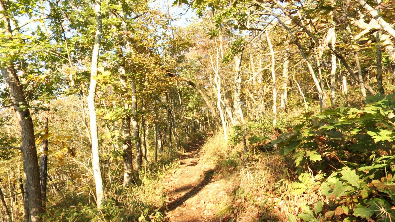 Recorded view from Buffalo Mountain — Buffalo Mountain Trail