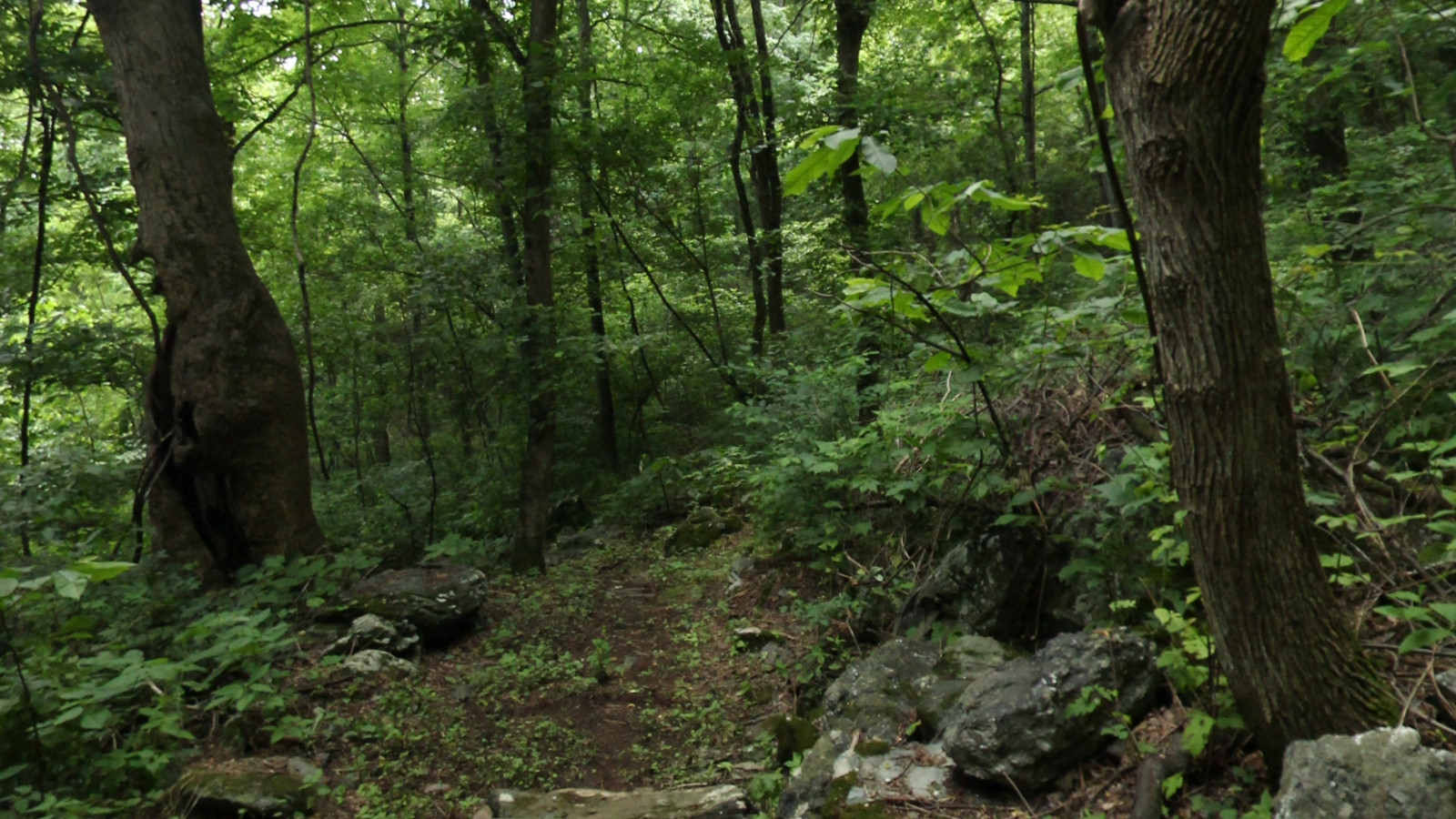 Recorded view from Patricia Ann Byrom Forest Preserve Park — Little Flat Mountains Loop 2
