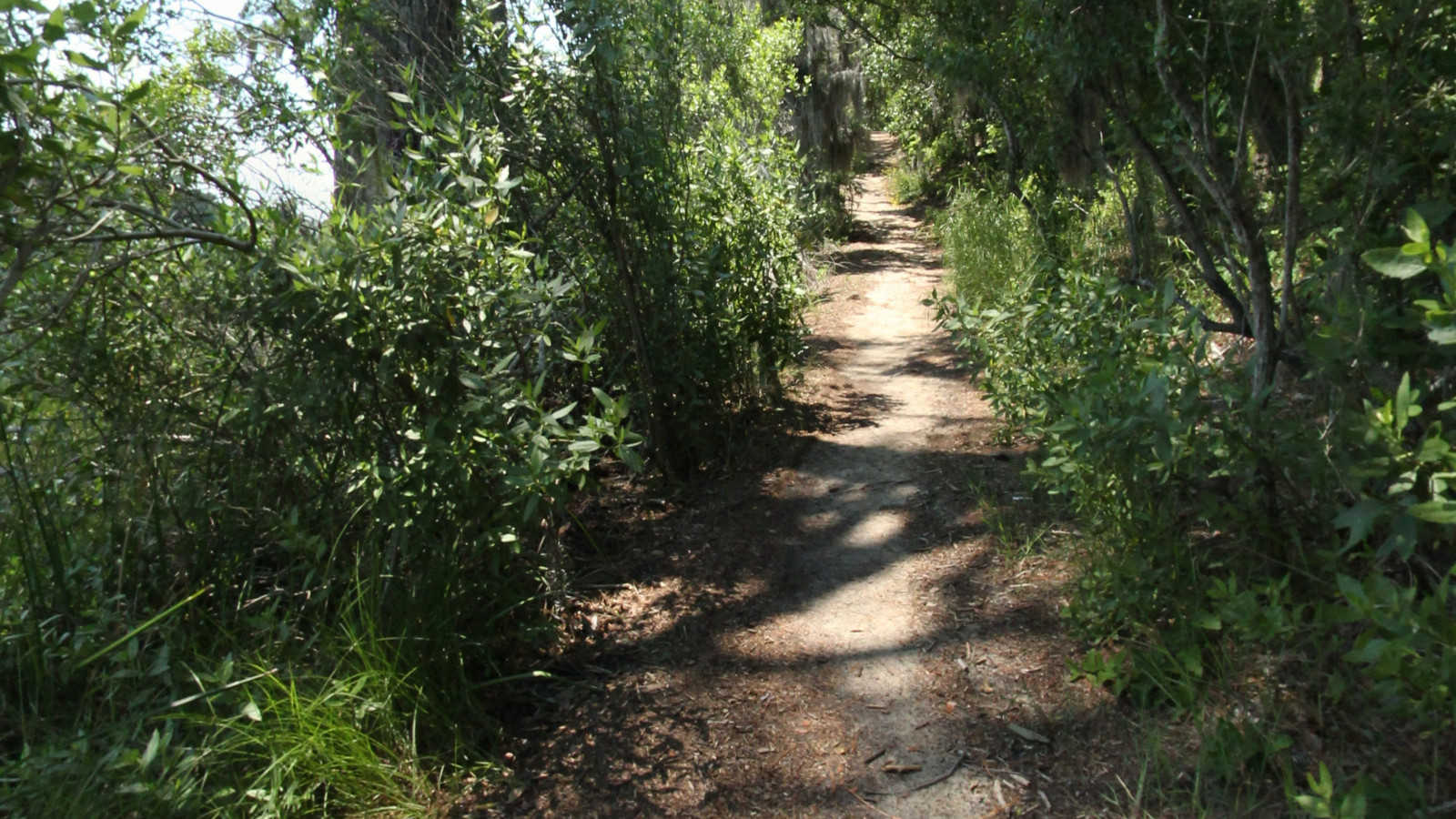 Recorded view from First Landing State Park — Long Creek Trail