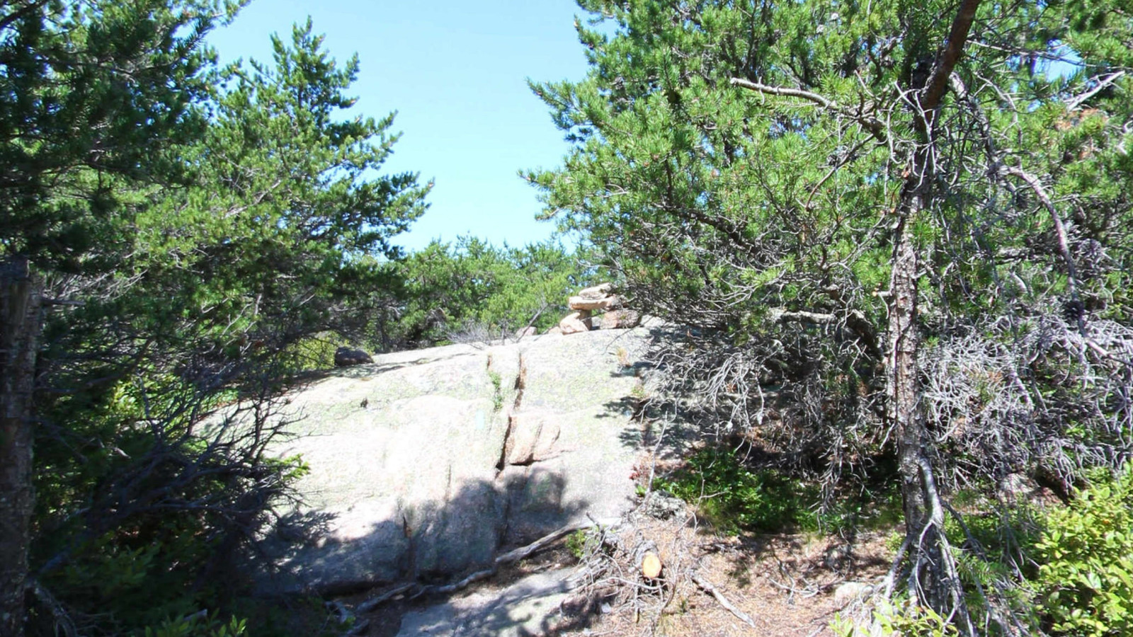 Recorded view from Acadia National Park — Cadillac Mountain South Ridge