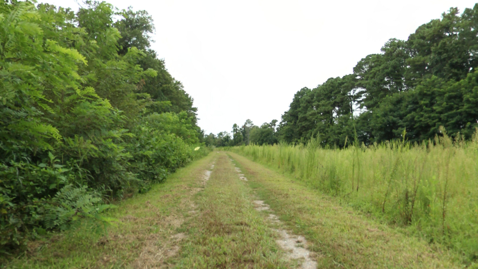 Recorded view from Belle Isle State Park — Neck Fields Trail 2