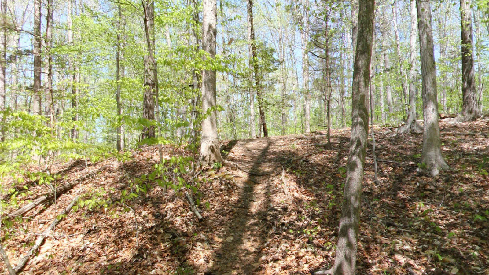 Recorded view from Poor Farm Park — Poor Farm