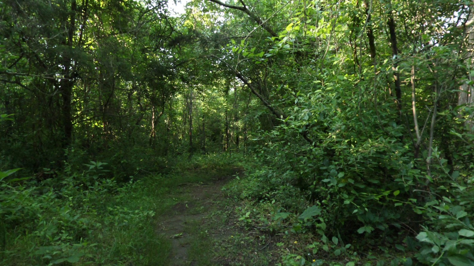 Recorded view from Ivy Creek Natural Area — Red Trail · Charlottesville, VA