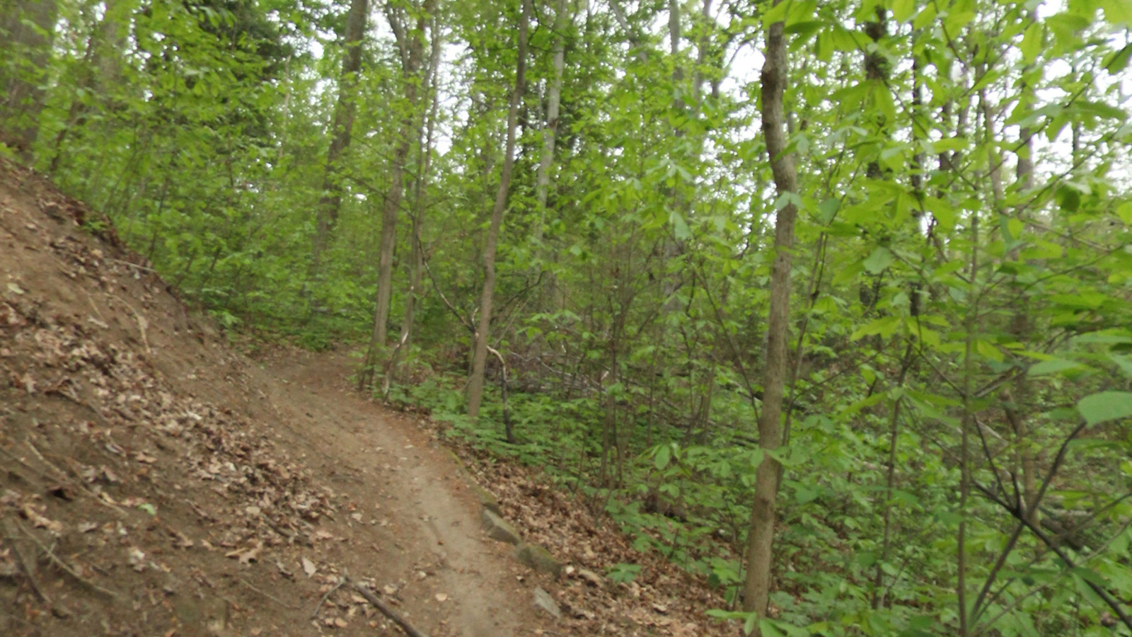Recorded view from James River Park System — Buttermilk