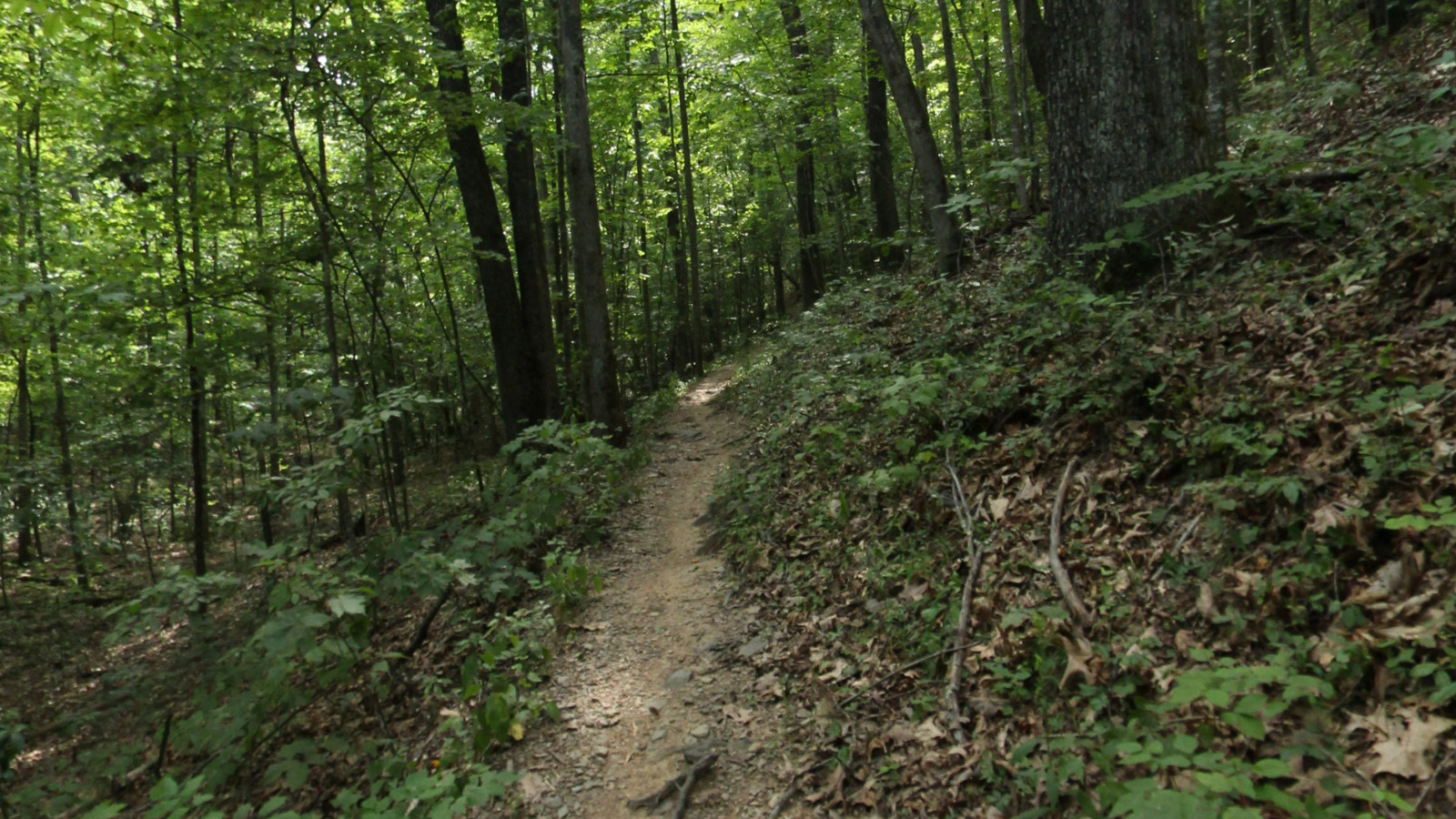 Recorded view from Sherando Lake Recreation Area — White Rock Gap Trail
