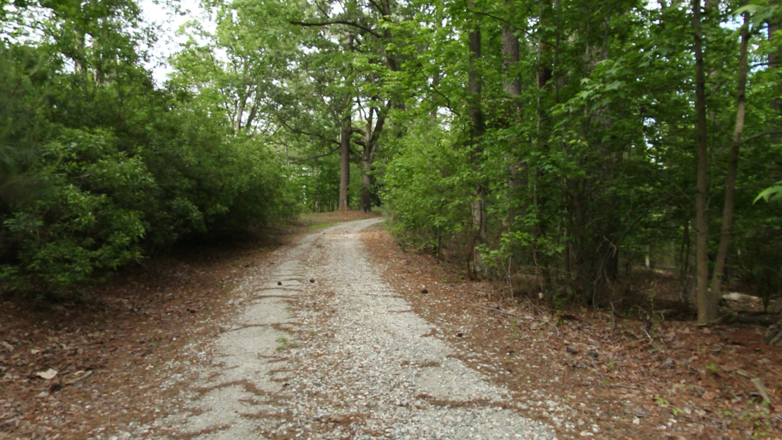 Recorded view from Woodstock Pond Trail — Woodstock Pond Trail