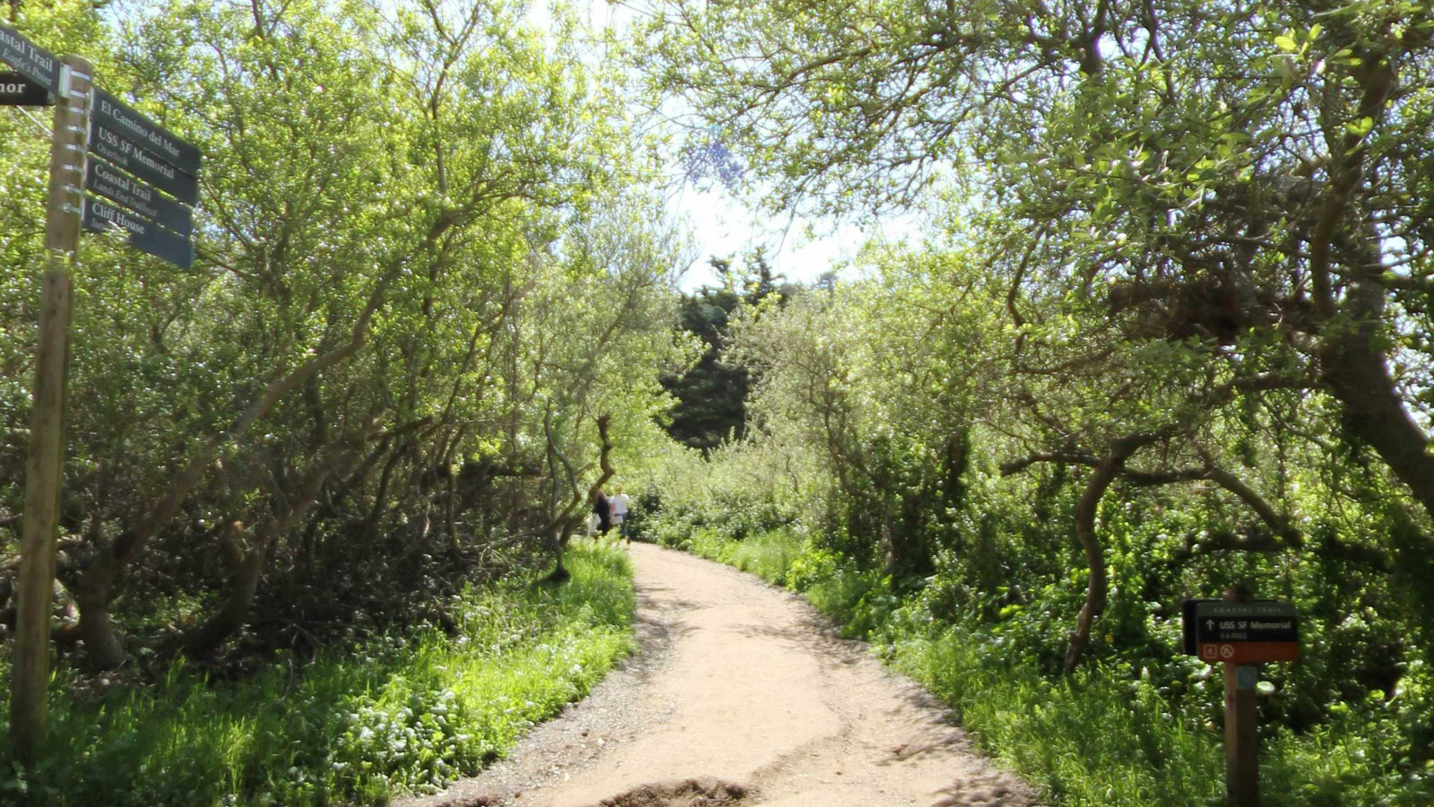 Recorded view from Lands End — Coastal Trail · San Francisco, CA
