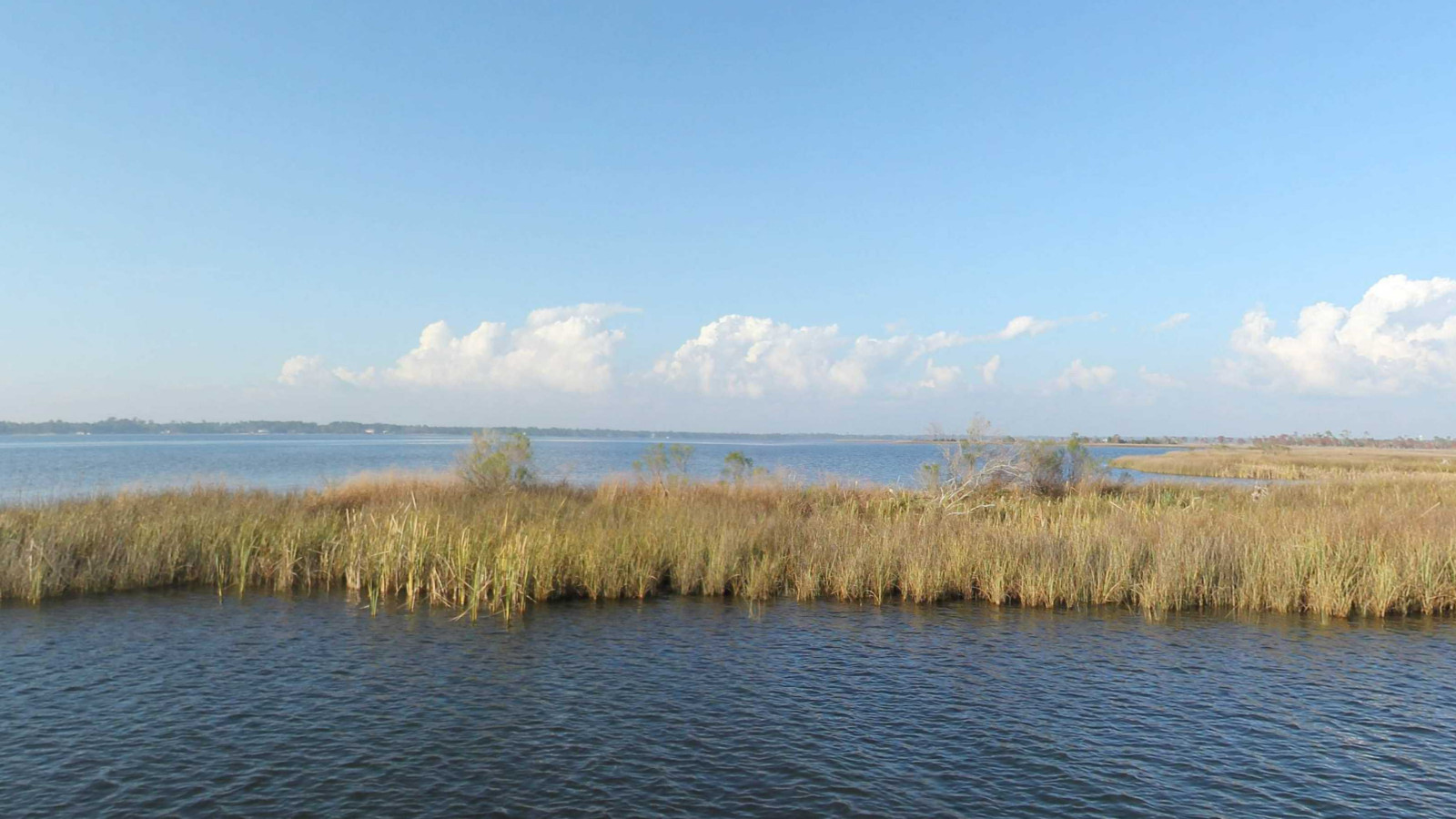 Recorded view from Blackwater Maritime Heritage Trail — East Bay to Milton