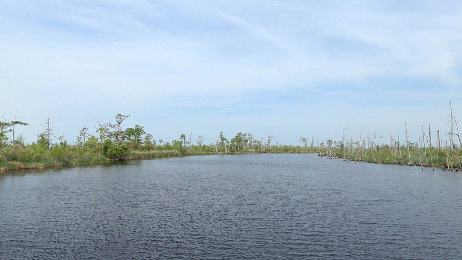 Recorded view from Alligator River — Alligator River