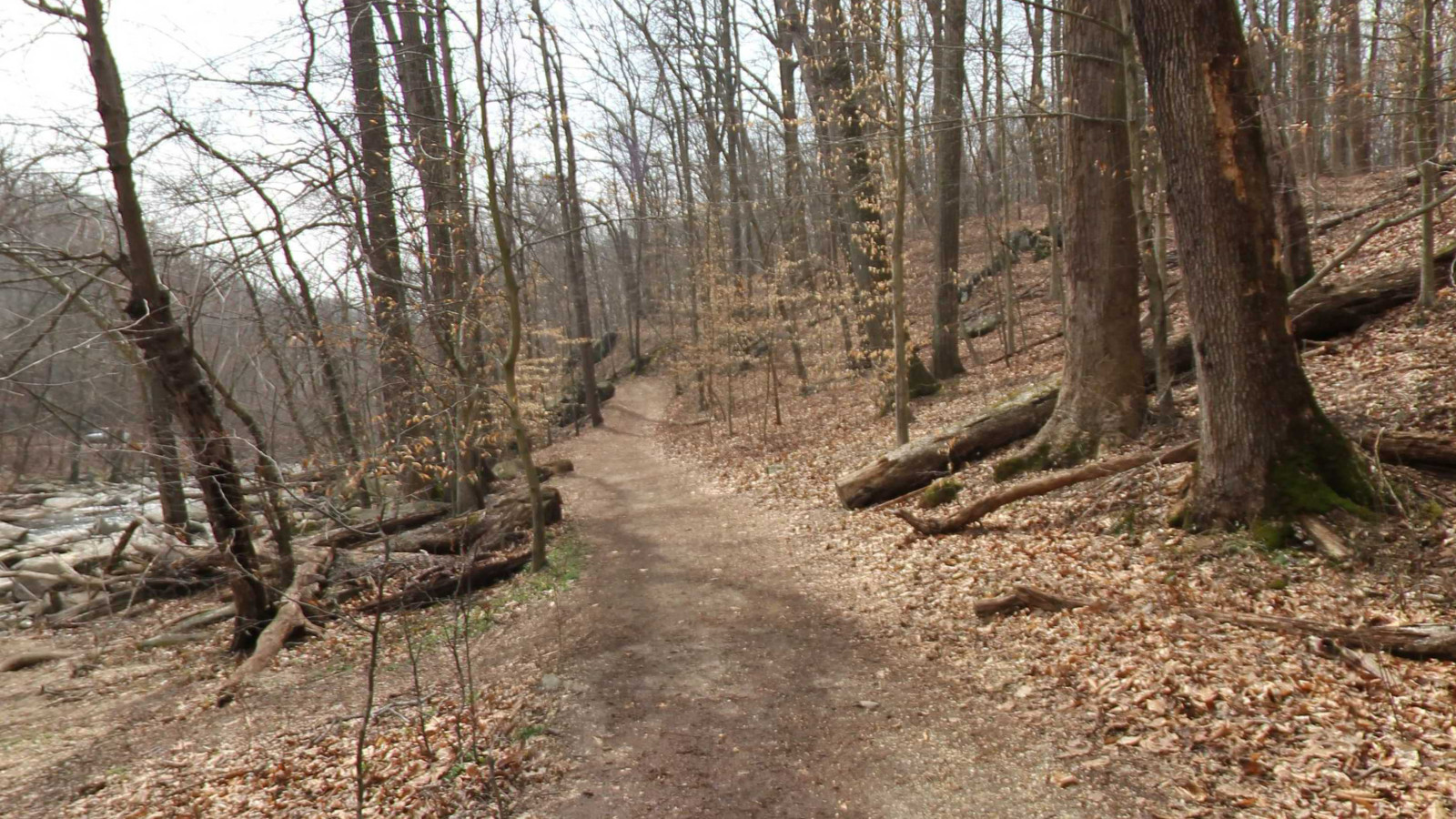 Recorded view from Rock Creek Park — Valley Trail