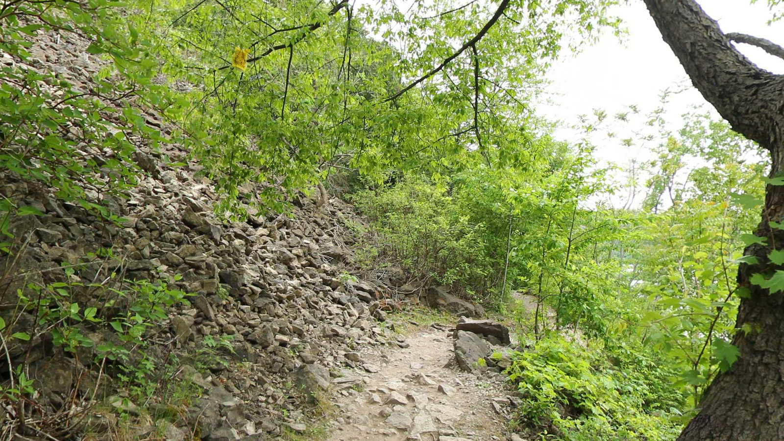 Recorded view from Niagara Gorge — Devils Hole Trail