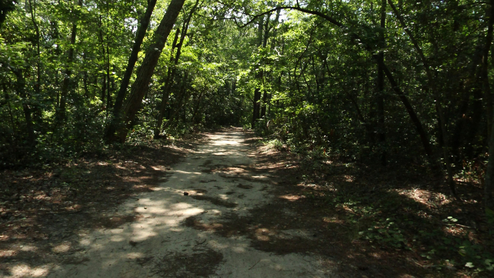Recorded view from Cape Henry Trail — Cape Henry Trail