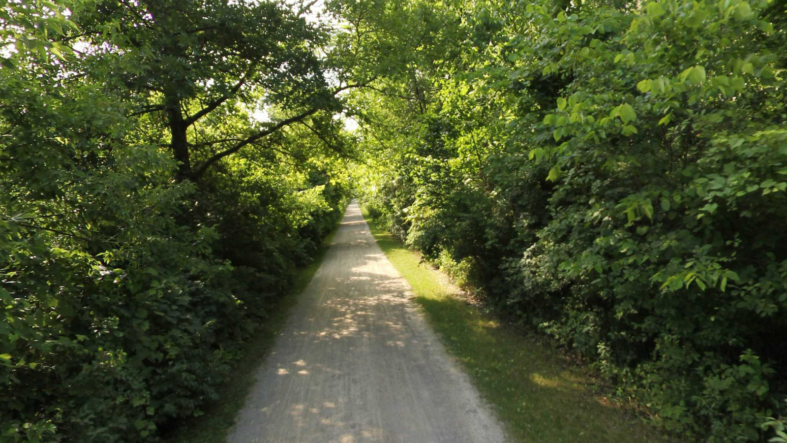 Recorded view from Paint Creek Trail & Rochester River Walk — Paint Creek Trail