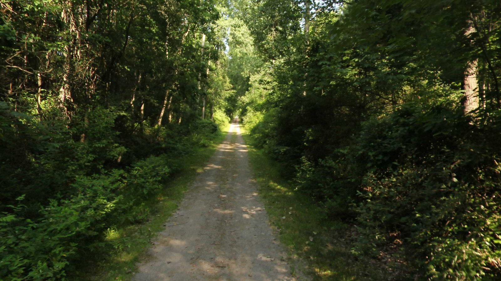 Recorded view from Wadhams to Avoca Trail — Wadhams to Avoca Trail