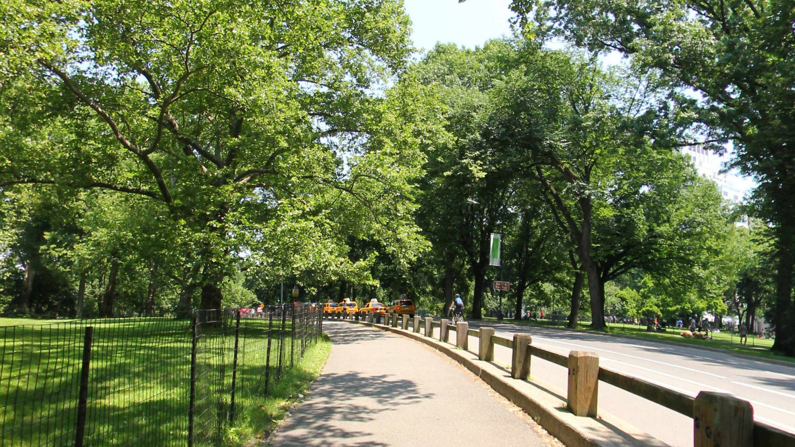 Recorded view from New York City — Central Park 3