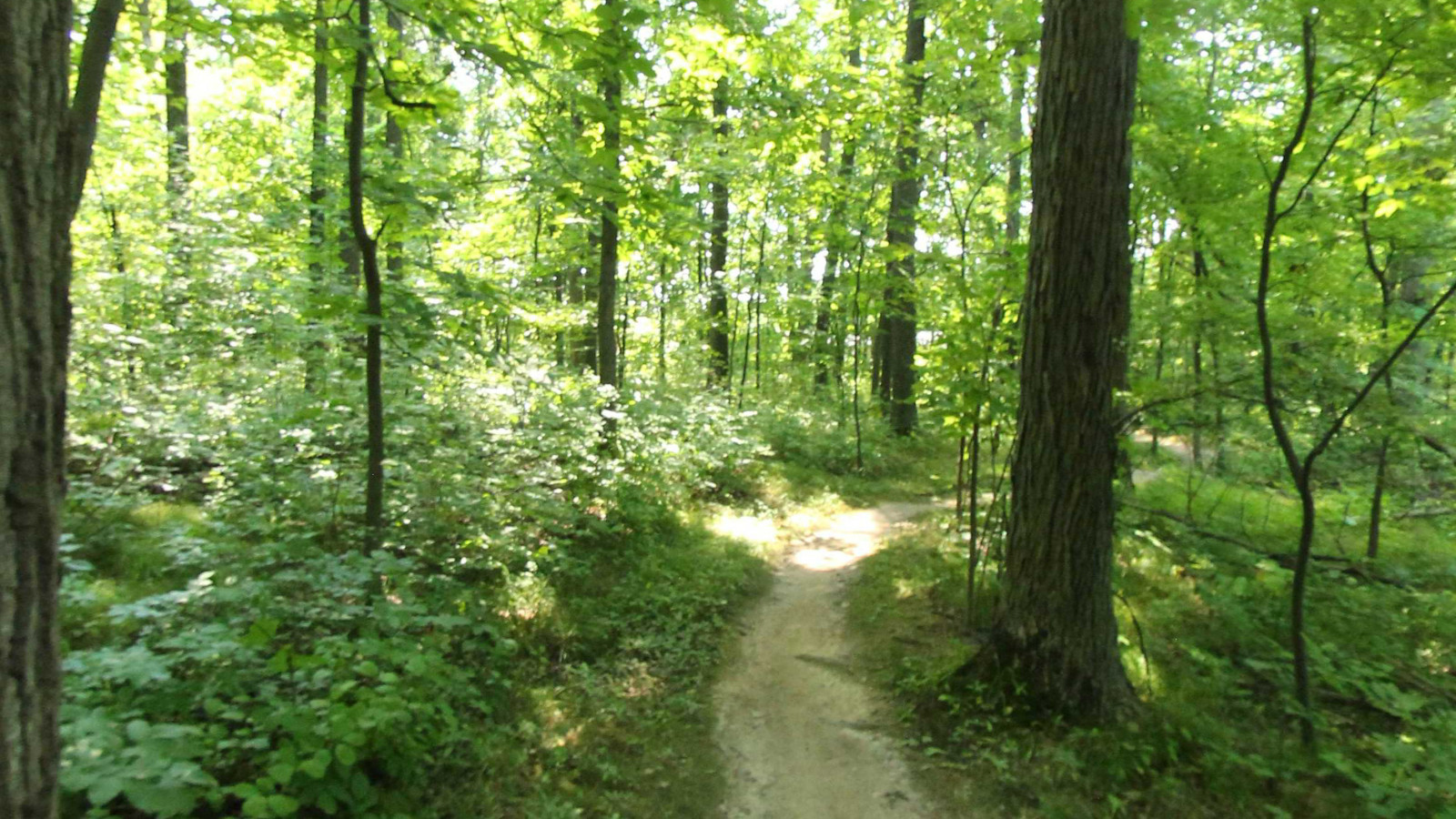 Recorded view from Addison Oaks County Park Trails — Addison Oaks County Park Mountain Bike Trail