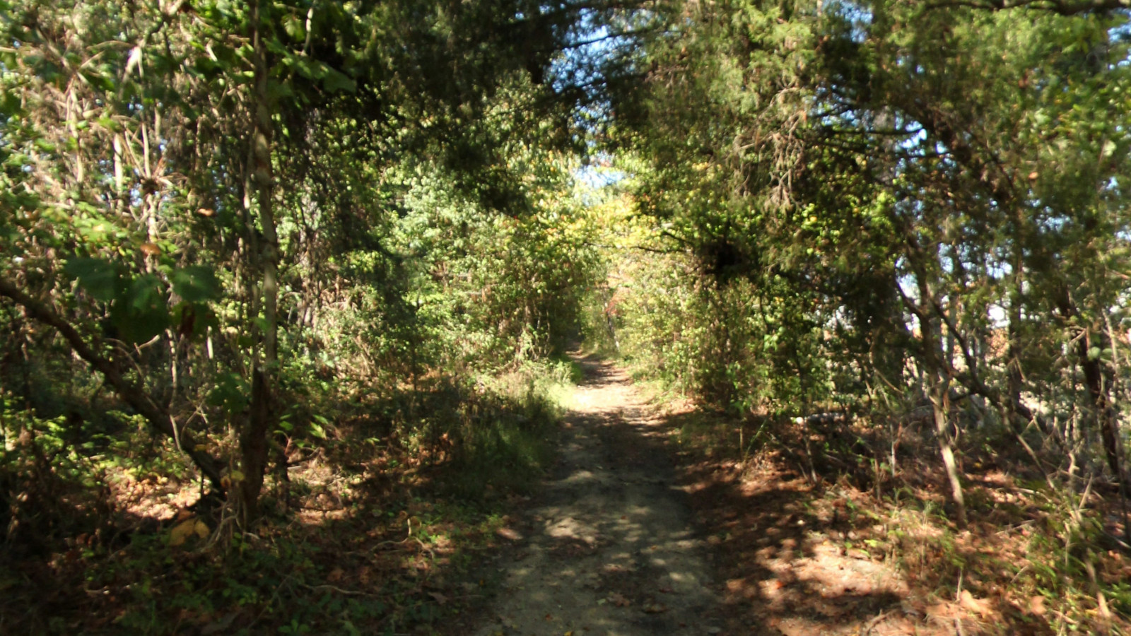 Recorded view from Chester Linear Park 2 — Chester Linear Park 2