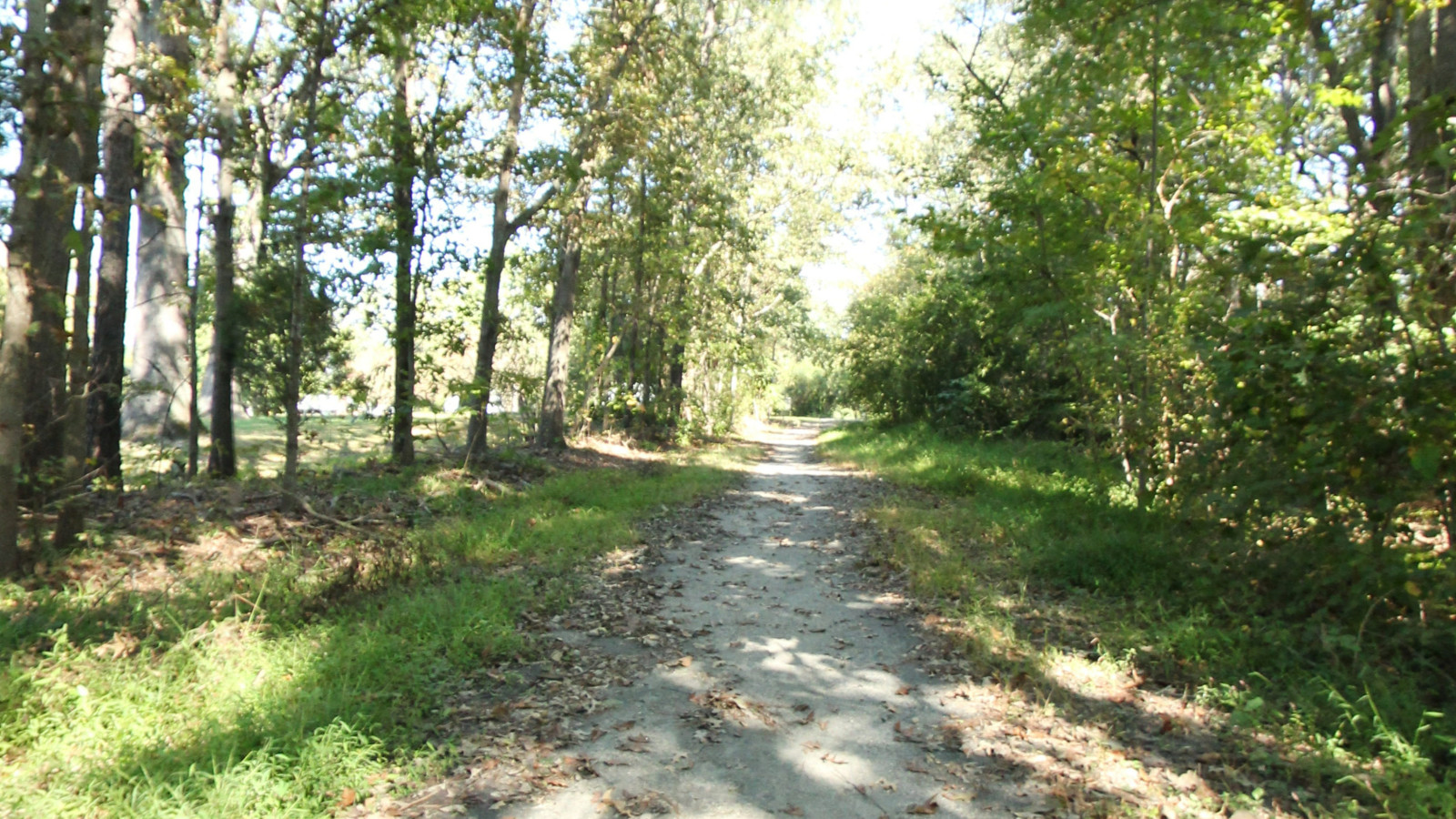 Recorded view from Chester Linear Park Section 1 — Chester Linear Park Section 1
