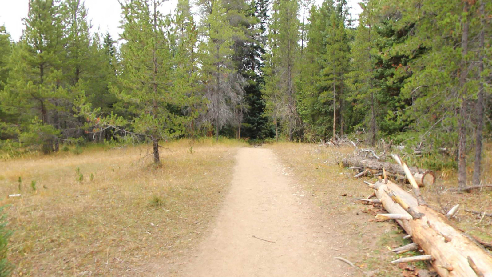 Recorded view from Rocky Mountain National Park — Colorado River Trail