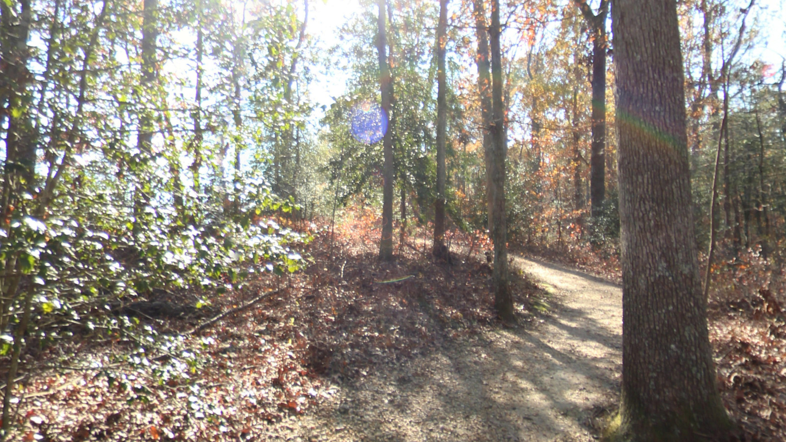 Recorded view from Cold Harbor Battlefield — Cold Harbor NPS Main Trail