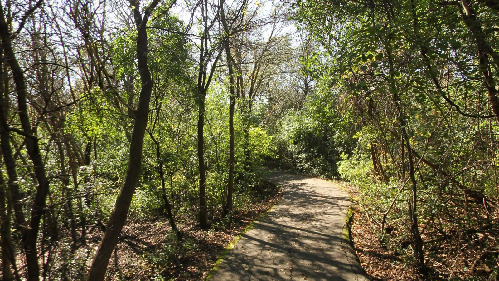 Recorded view from Red Oaks Nature Trails — Red Oaks County Park Loop