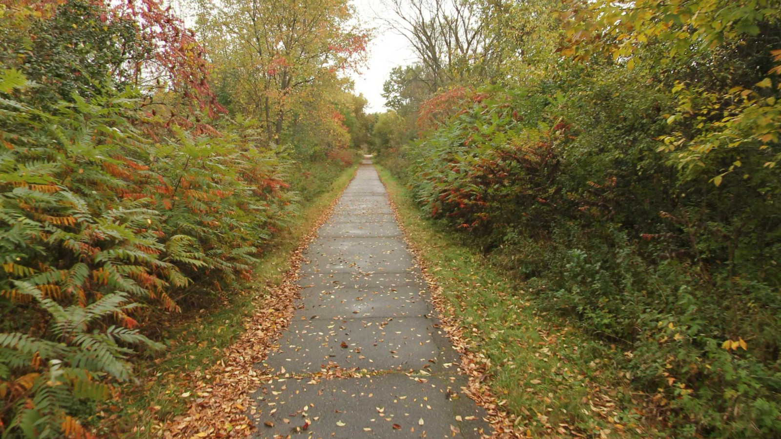Recorded view from Huron Valley Trail — Huron Valley Trail