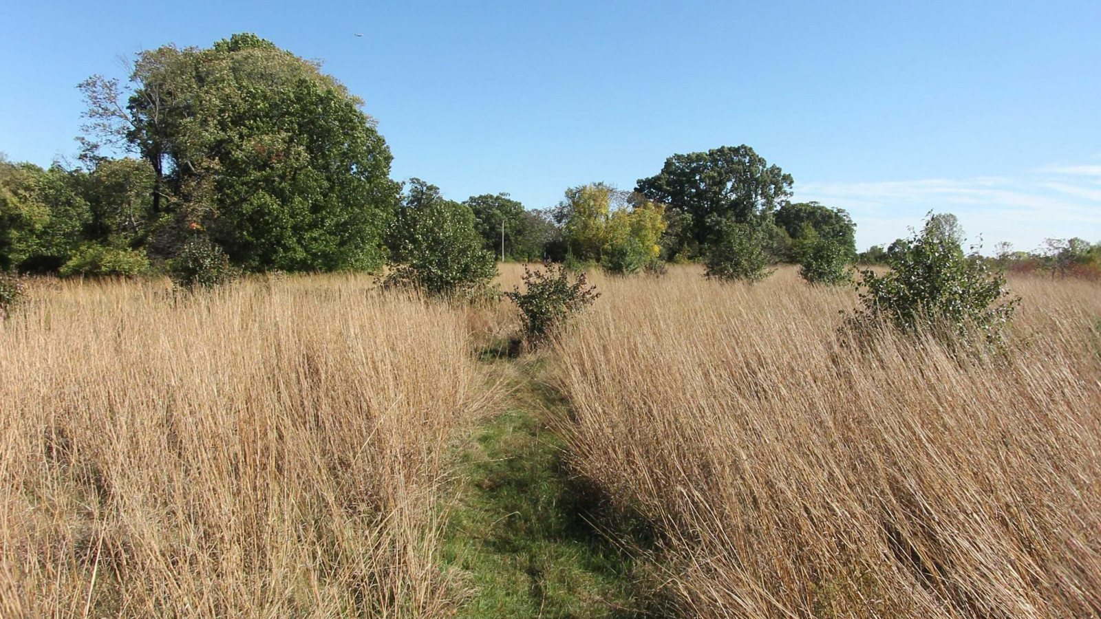 Recorded view from Prairie Pathway Park — Prairie Pathway Loop