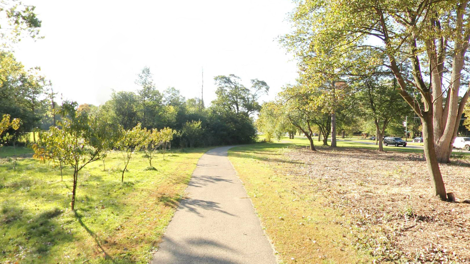 Recorded view from Palmer Park Trail — Palmer Park Loop