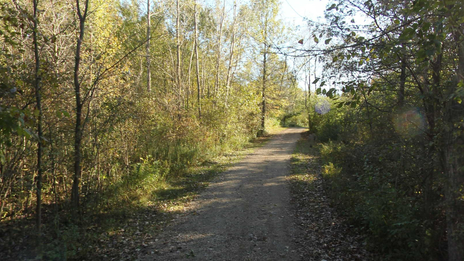 Recorded view from Crosswinds Marsh Trails — Equestrian Trail